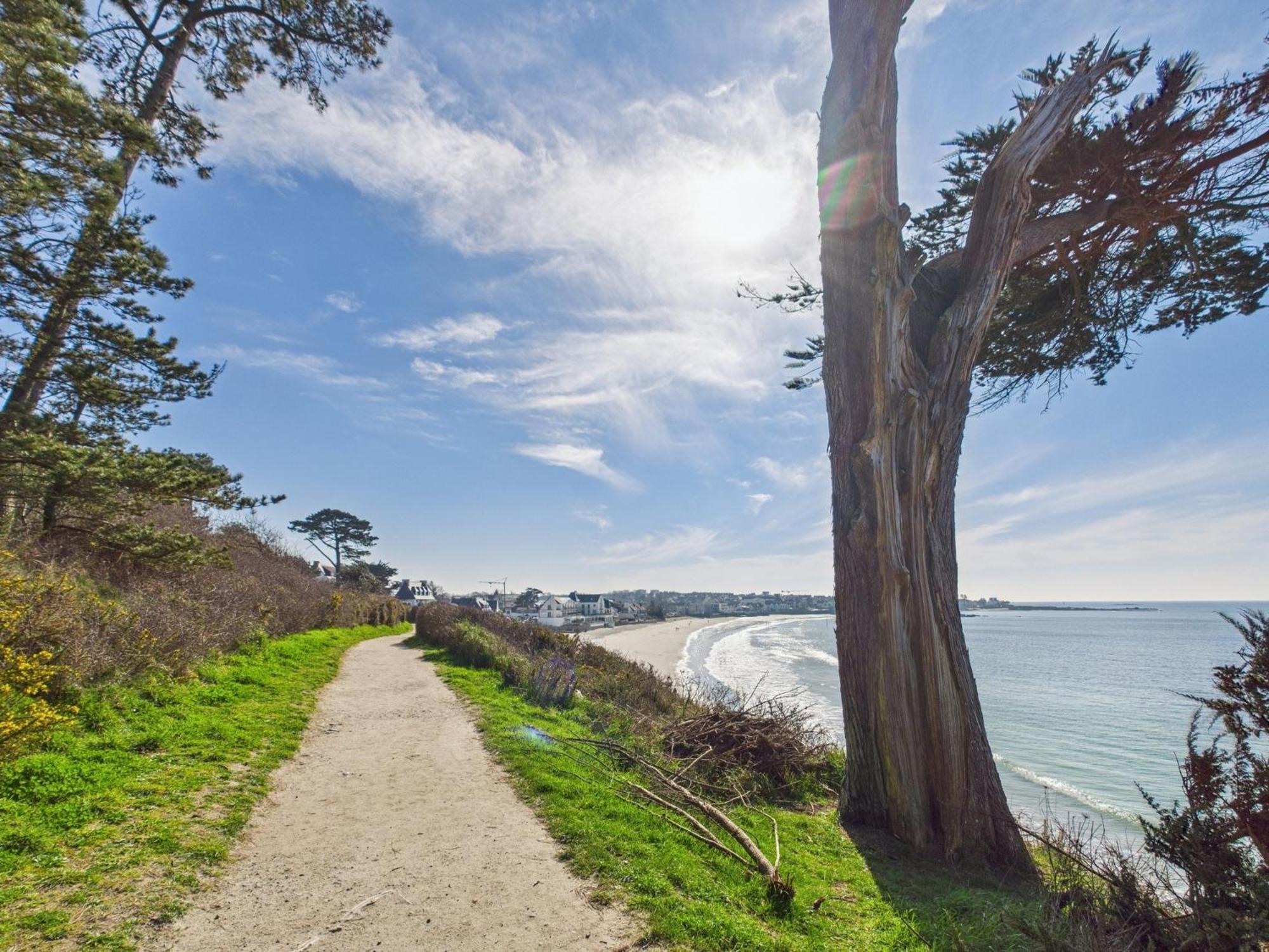 -Le Sentier- Elegant T3 Avec Jardin Proche Mer Concarneau Kültér fotó